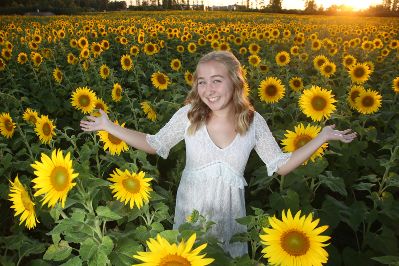 sunflowers0094